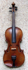 violin